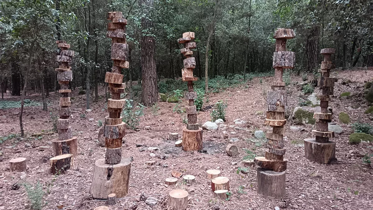 Marcello Cinque, Cippi, Museo Organica 2025