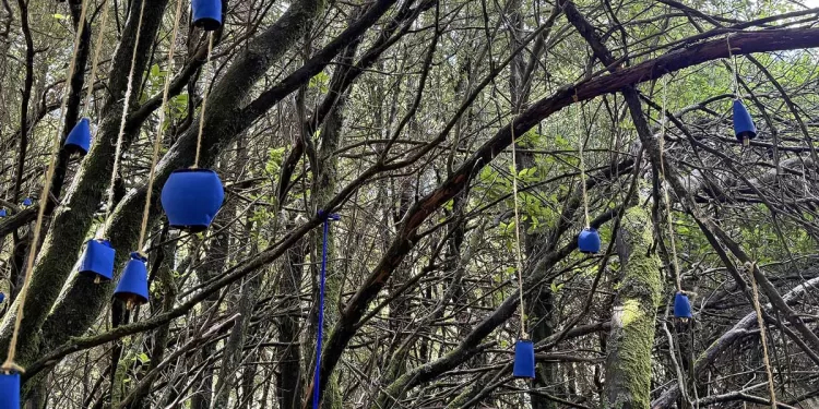 Un'opera di Sabrina Oppo