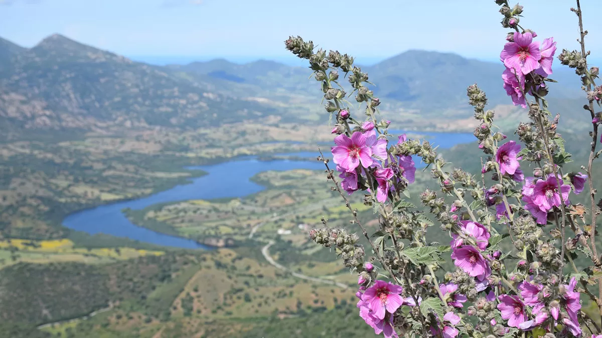 Panorama sul lago Maccheronis