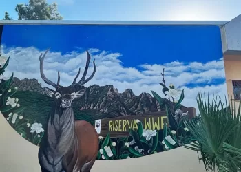 Uta, il murale nell'Aula Natura dell'Istituto Comprensivo realizzato da Andrea Sabbiucciu