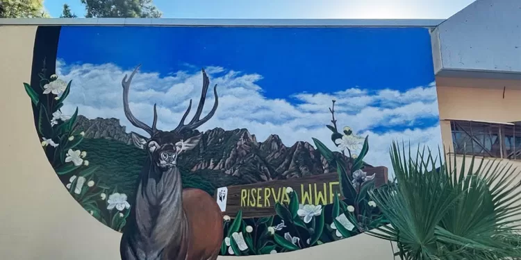 Uta, il murale nell'Aula Natura dell'Istituto Comprensivo realizzato da Andrea Sabbiucciu