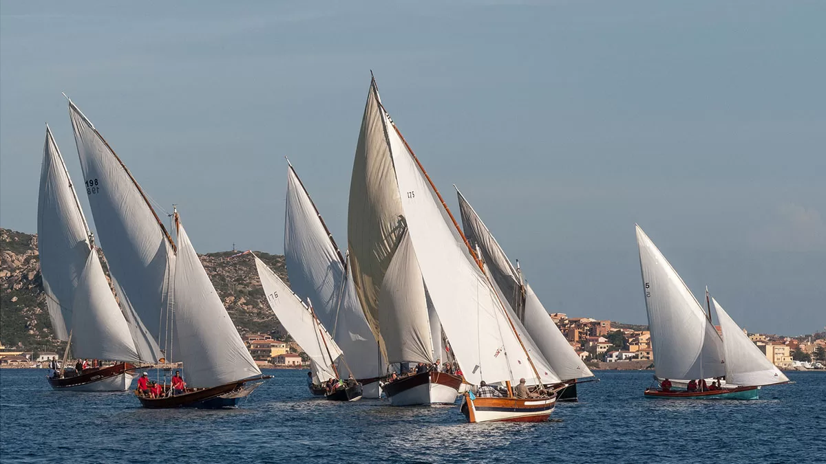 Vele Latine a La Maddalena. Foto Antonio Mannu