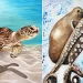 Due opere di Tiziana Sanna: Caretta Caretta e polpo