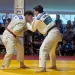 Trofeo Internazionale Riviera del Corallo di judo