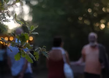 Bosco di OCRA a Badu Canu, Osilo. Foto di Valeria Masu