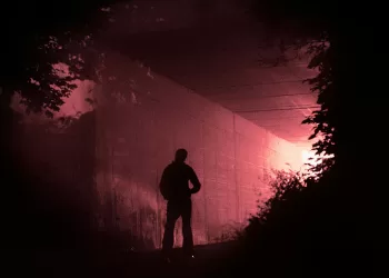 Foto Simon S. | Pexels