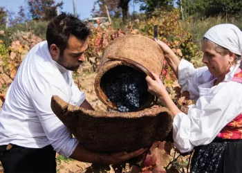 Vendemmia a Sorgono. Foto ASPEN