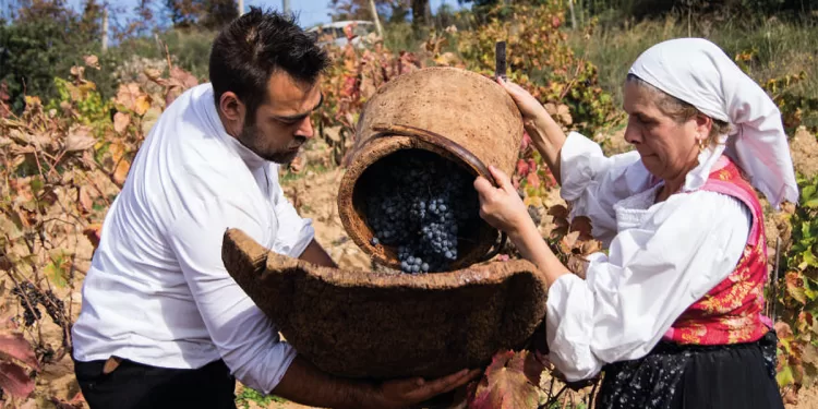 Vendemmia a Sorgono. Foto ASPEN