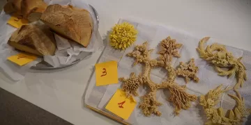 Pani di Sardegna Alghero - Vincitori