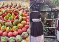 Fruttini, costume tradizionale e l’ultima gualchiera di Tiana. Foto ASPEN