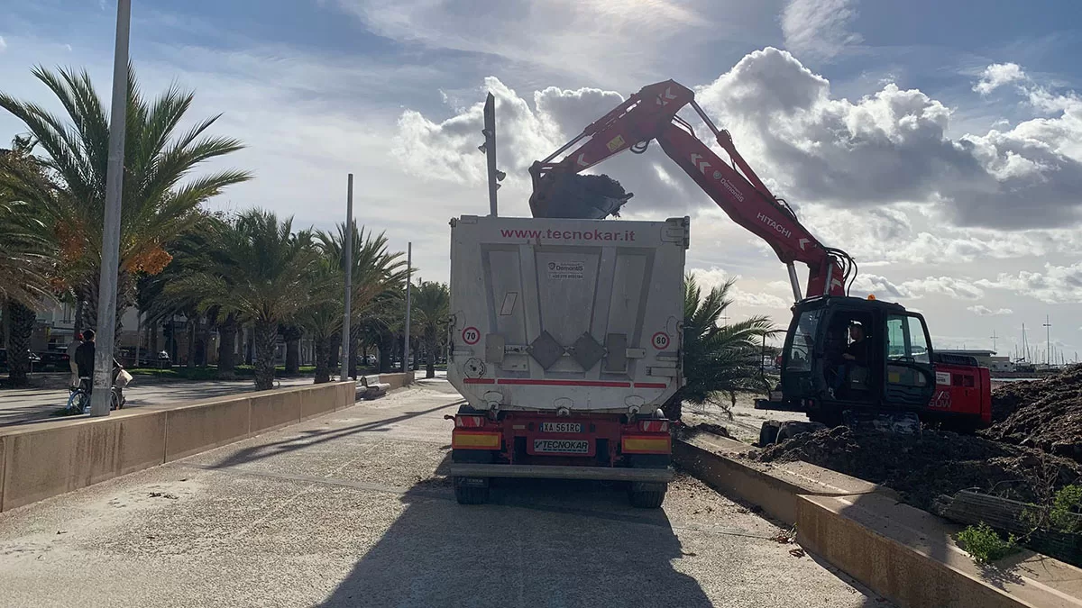 Rimozione posidonia dalla spiaggia di San Giovanni ad Alghero