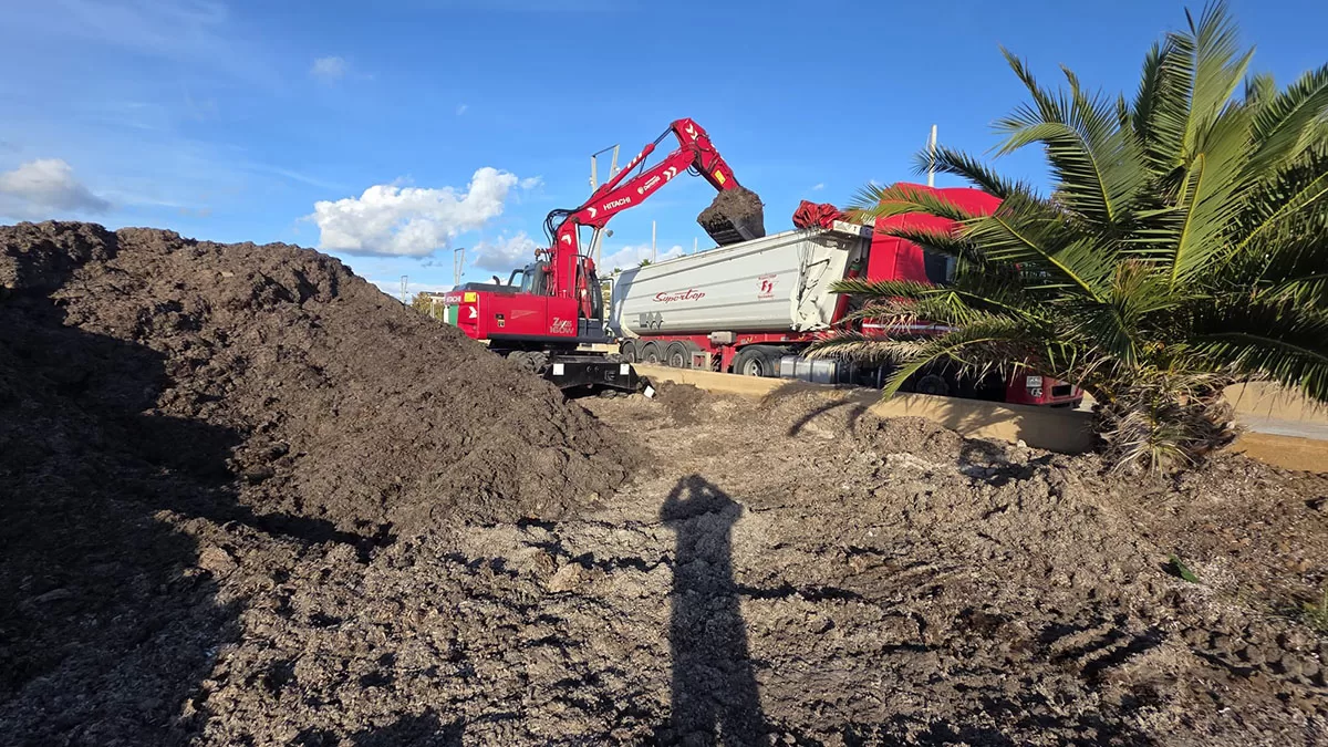 Rimozione posidonia dalla spiaggia di San Giovanni ad Alghero