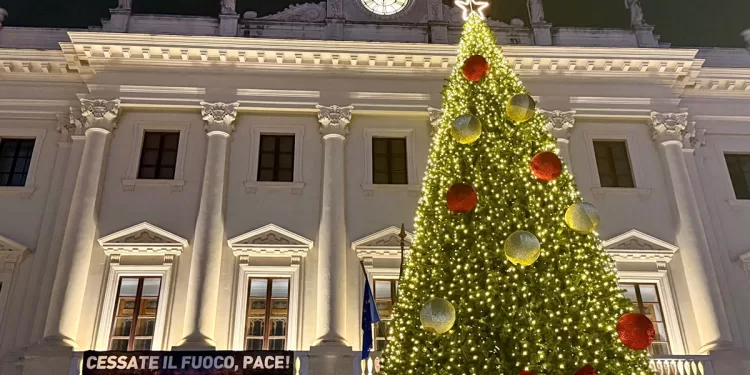 Albero di Natale in Piazza d'Italia a Sassari