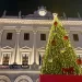 Albero di Natale in Piazza d'Italia a Sassari