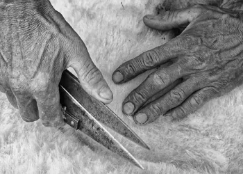 Tundhimentas. © Francesco Pintore