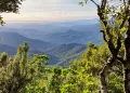 Uno scorcio del Parco Naturale Regionale di Gutturu Mannu