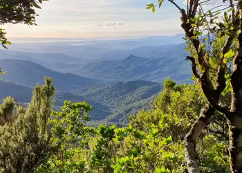 Uno scorcio del Parco Naturale Regionale di Gutturu Mannu