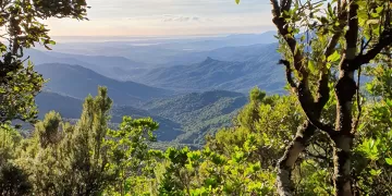 Uno scorcio del Parco Naturale Regionale di Gutturu Mannu