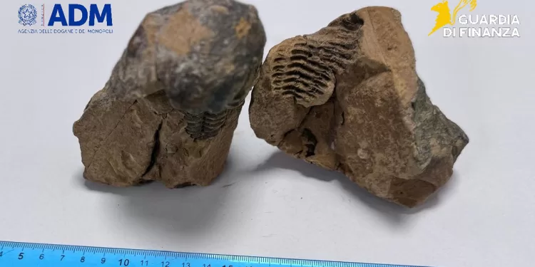 Sequestro reperto archeologico aeroporto di Alghero