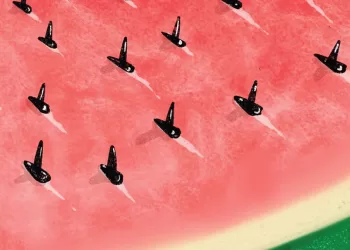 Un mare che chiede libertà a Seneghe