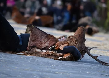 Is Cerbus. ©Cranovali Sinniesu | Comune di Sinnai