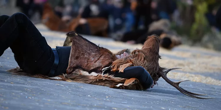 Is Cerbus. ©Cranovali Sinniesu | Comune di Sinnai