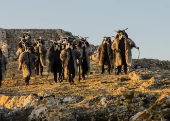 Maschere di S'Ainu Orriadore a Monte d’Accoddi. ©Francesco Merella