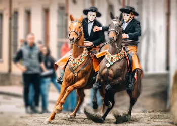 Sas Cursas de Carrasegae a Paulilatino