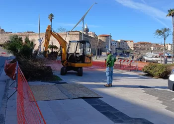 Tornano le palme sul Lungomare Barcellona di Alghero
