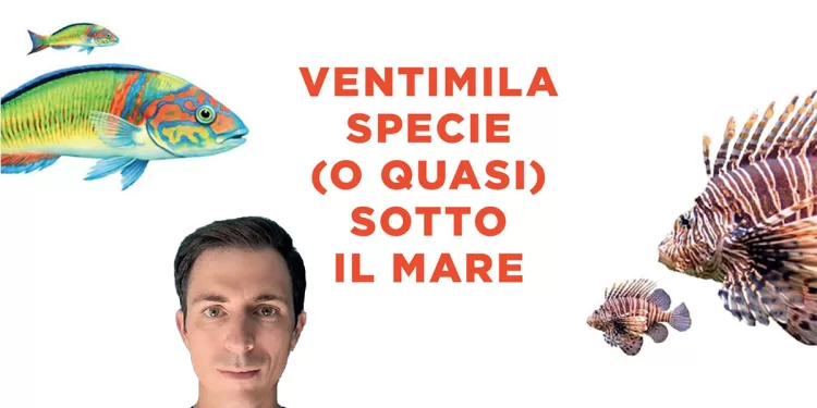 Il biologo marino Andrea Bonifazi