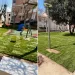 Il giardino di via Tiziano nel quartiere della Pietraia ad Alghero