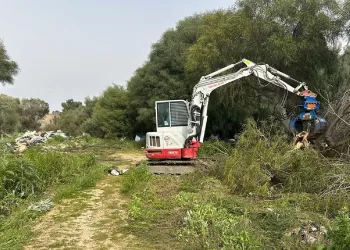Pulizia Santa Gilla a Cagliari