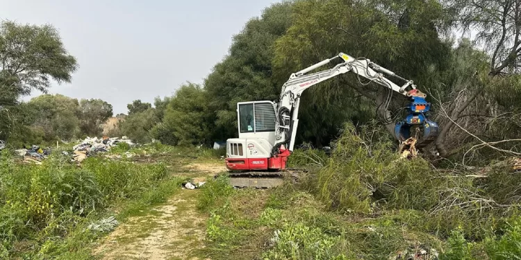 Pulizia Santa Gilla a Cagliari