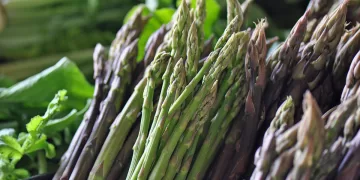 Asparagi selvatici. ©Depositphotos