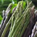 Asparagi selvatici. ©Depositphotos