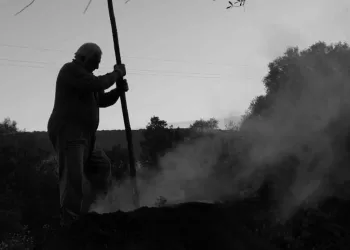 Carbonai e Carbonaie in Sardegna