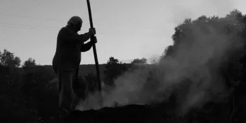 Carbonai e Carbonaie in Sardegna