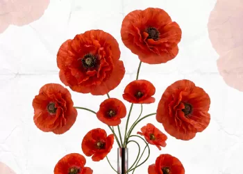 Resistenze – Ieri, Oggi e Domani