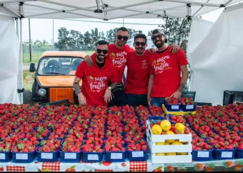 Sagra della Fragola di Sa Segada–Tanca Farrà