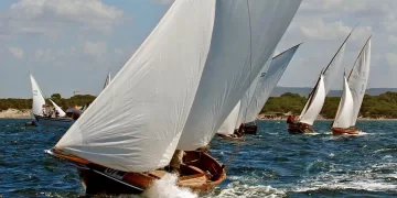 Trofeo San Marco Fertilia