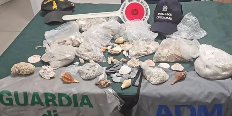 Sequestro sabbia all'Aeroporto di Alghero