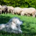 ©Depositphotos