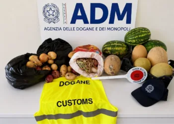 Porto Torres, sequestrati 60 kg di prodotti vegetali senza certificazione fitosanitaria