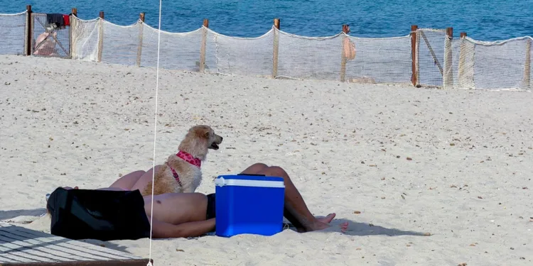 Area cani al Poetto di Cagliari