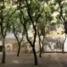Il giardino dell’Archivio storico di Sassari