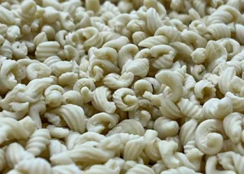 Sos Ciccioneddos di Codrongianos