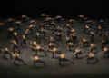 “Bolero X” di Shahar Binyamini. ©Annachiara Di Stefano