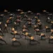 “Bolero X” di Shahar Binyamini. ©Annachiara Di Stefano