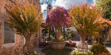 Estate in Fiore ad Arzachena. ©Antonella Marteddu