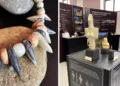 Mostra “JANAS. Vivere, credere, morire nella Sardegna preistorica”